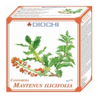 Maytenus ilicifolia - bylinný čaj